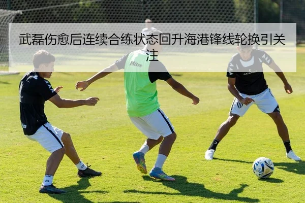 武磊伤愈后连续合练状态回升海港锋线轮换引关注
