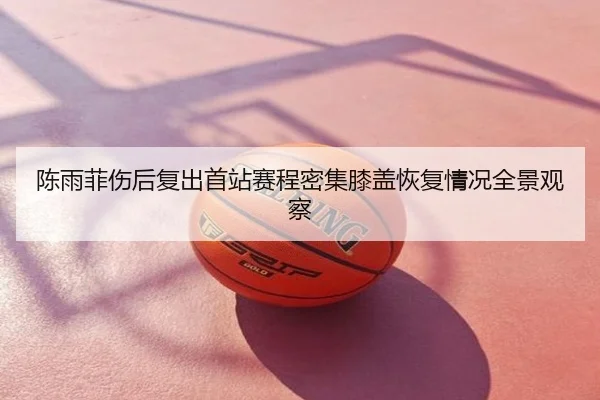 陈雨菲伤后复出首站赛程密集膝盖恢复情况全景观察